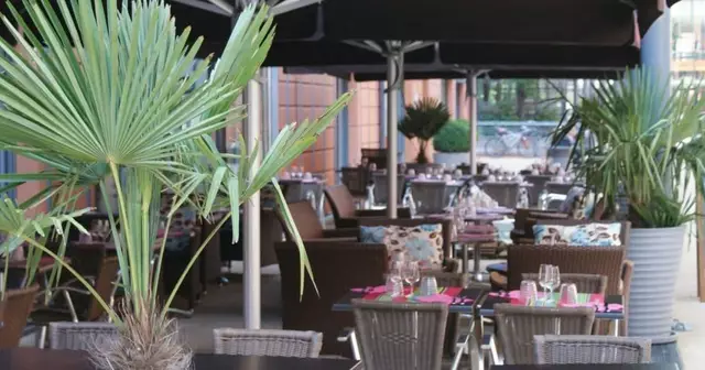 terrasse-boire-verre-lyon-suelta-verde