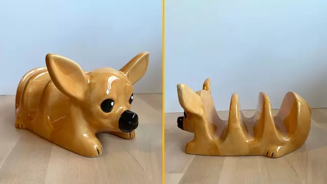 porte-tacos-chihuahua