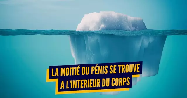 TOP CORPS HUMAIN BOUCHE BEE