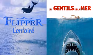une-dauphinVSrequin