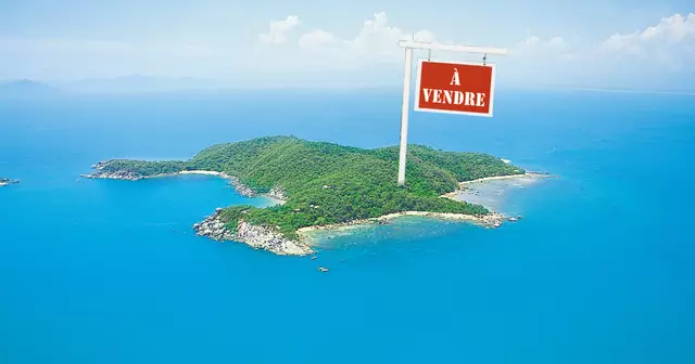 Bedarra_Island_aerial