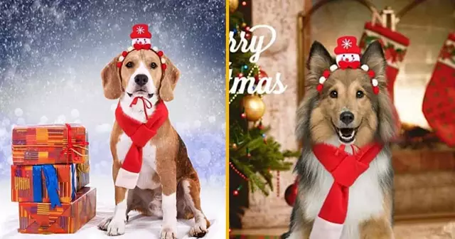 serre-tete-echarpe-noel-pour-chien