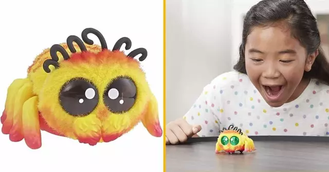 araignee-deplace-cri