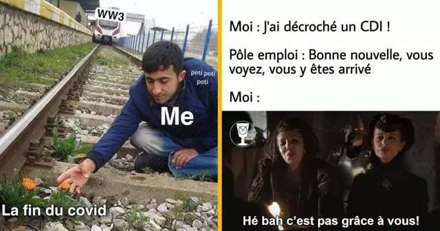 top meilleurs memes 3