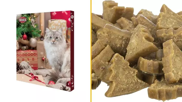 calendrier-avent-chats-croquettes-nomnomnom