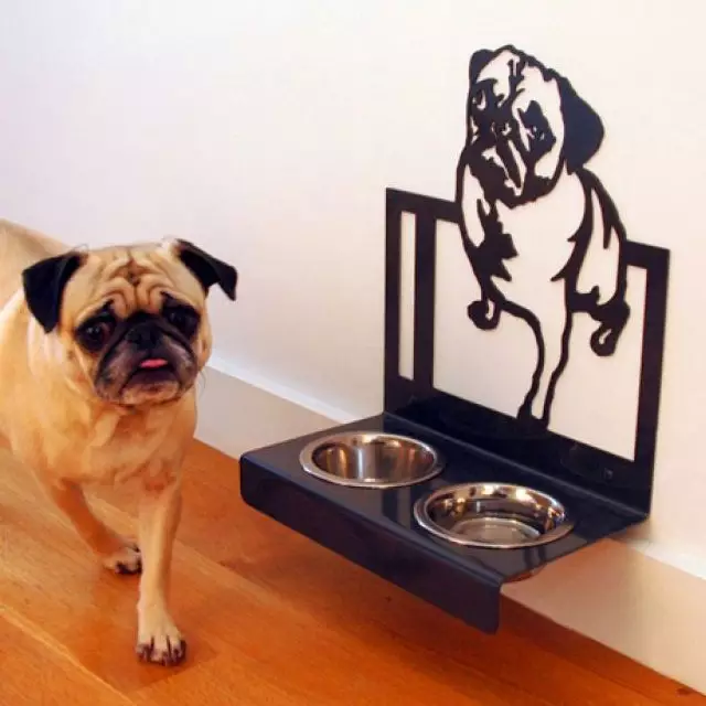 556235790791743821_2a9268865e7c