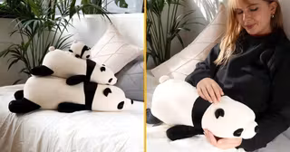 peluches-panda