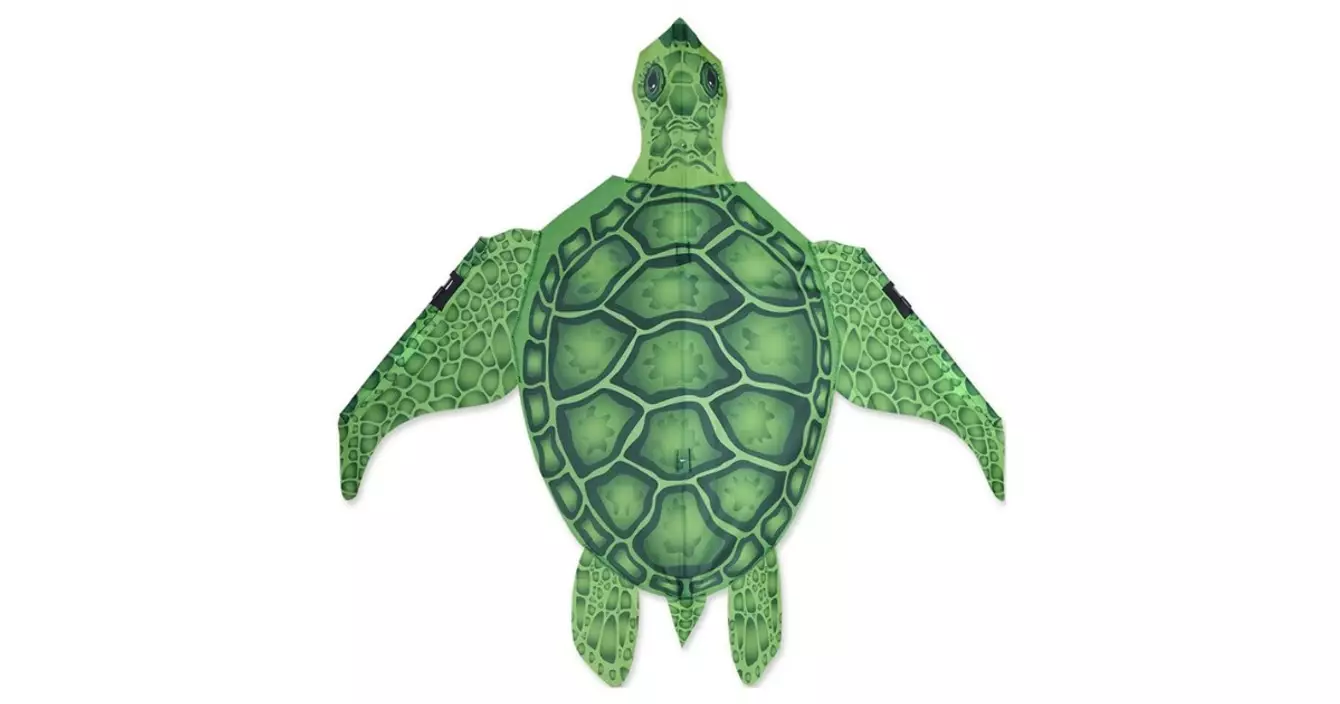 cerf-volant-tortue