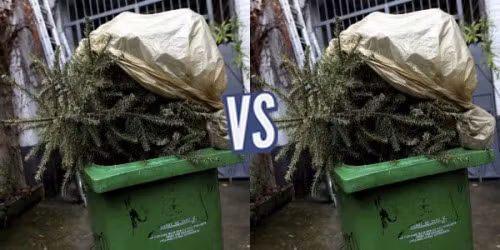 battle-345515-1419257605