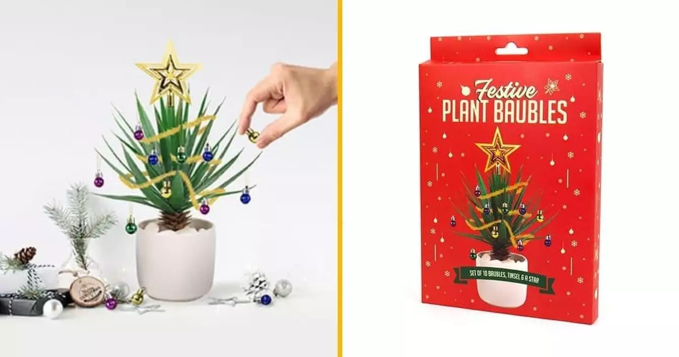 decorations-noel-plantes