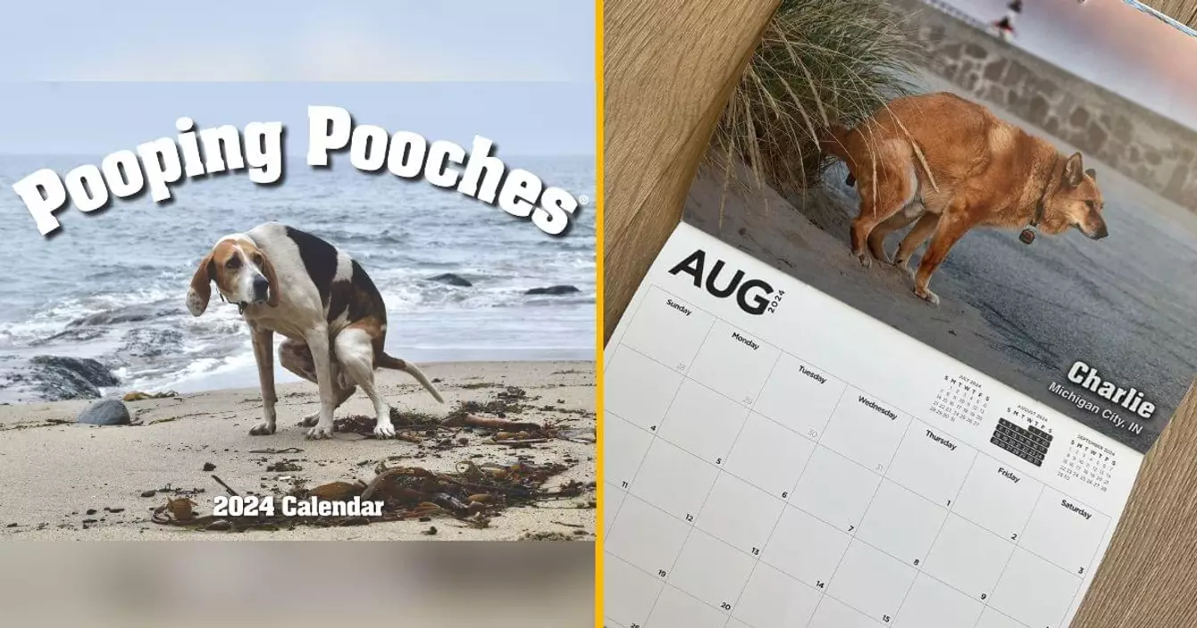 calendrier-chiens-caca