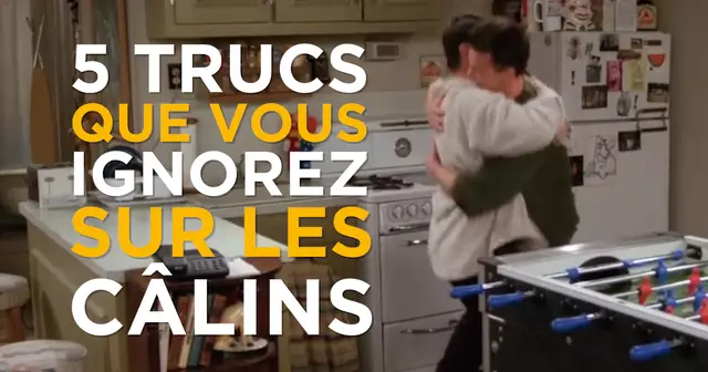 VIGNETTE_JOURNEE_CALINS0