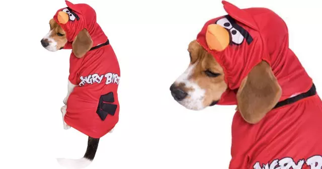 costume-angry-birds