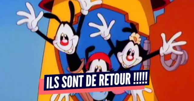 top animaniacs