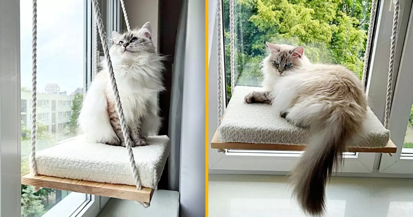 hamac-fenetre-pour-chat