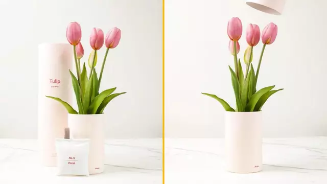 bouquet-tulipes