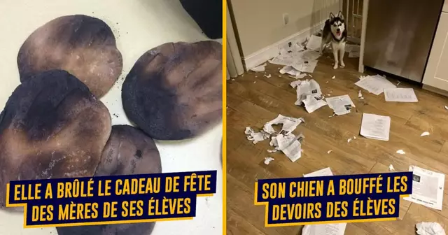 top profs augmentation