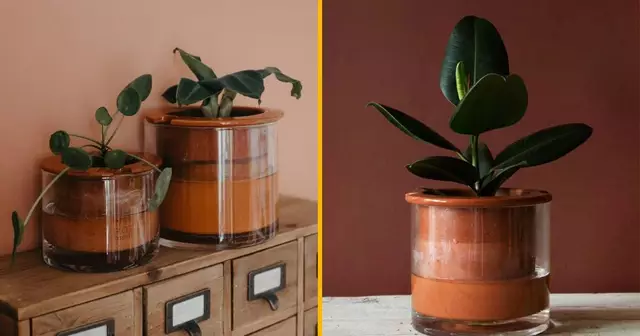 pot-plante-intelligent