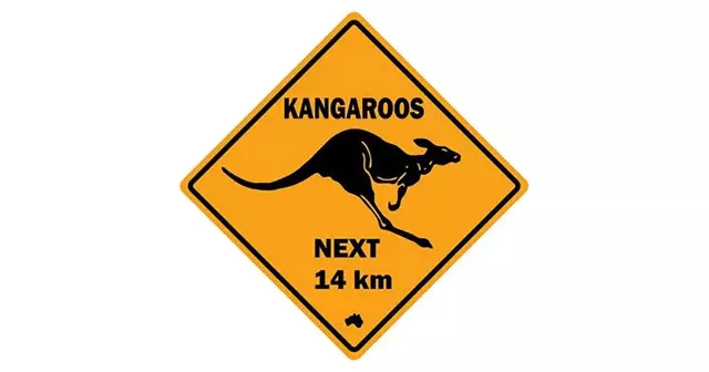 autocollant-attention-kangourous-quand-meme-plus-classe-que-attention-vaches