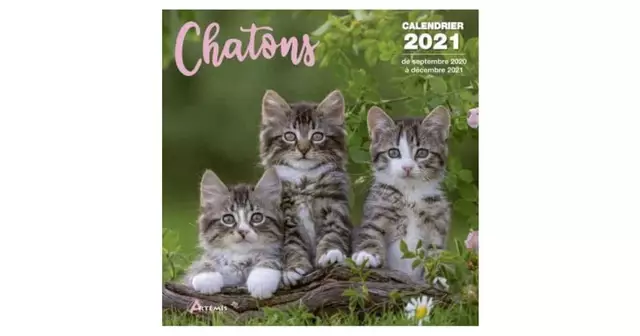 calendrier-chatons
