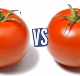 battle-364236-1426613125