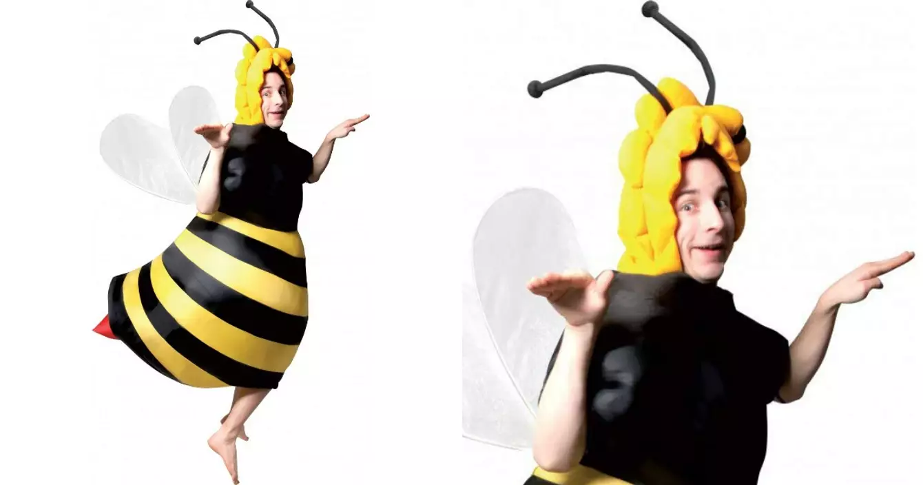 deguisement-abeille