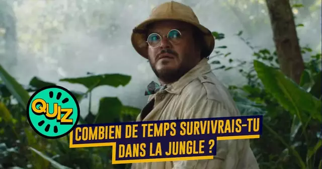quiz jungle