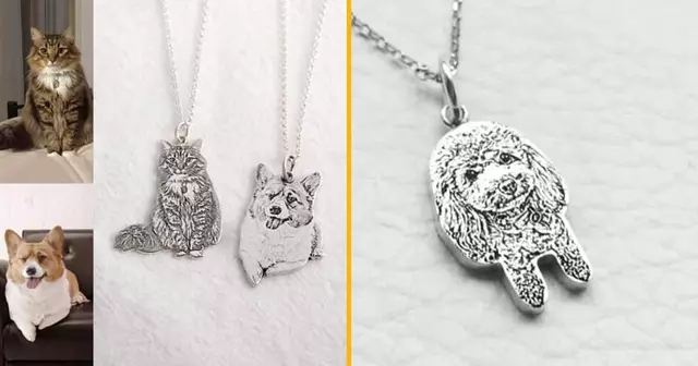 collier-chien-chat-photo