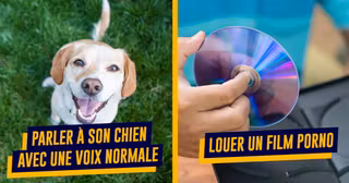 UNE_TRUCS_LEGAUX_CHELOU_2