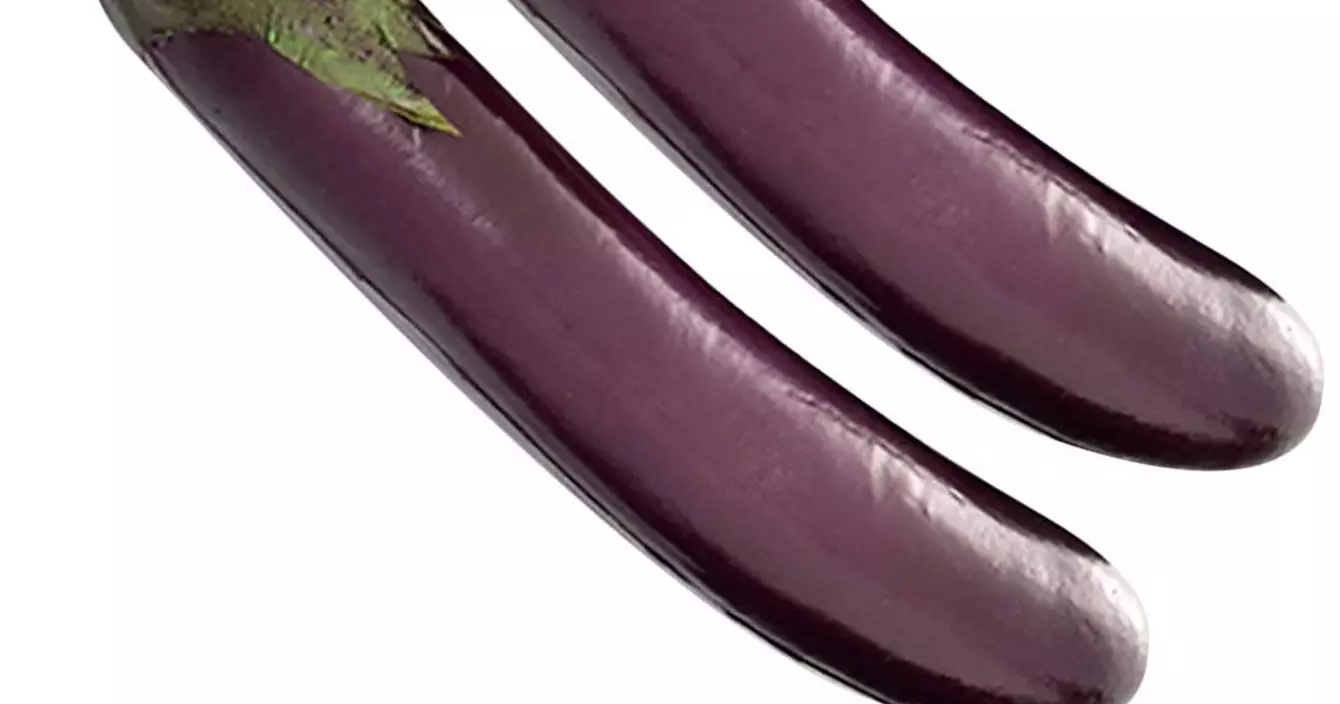 aubergine-artificielle