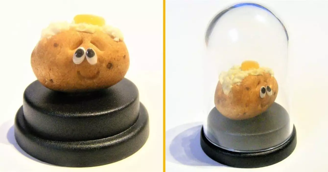 pomme-de-terre-miniature-compagnie