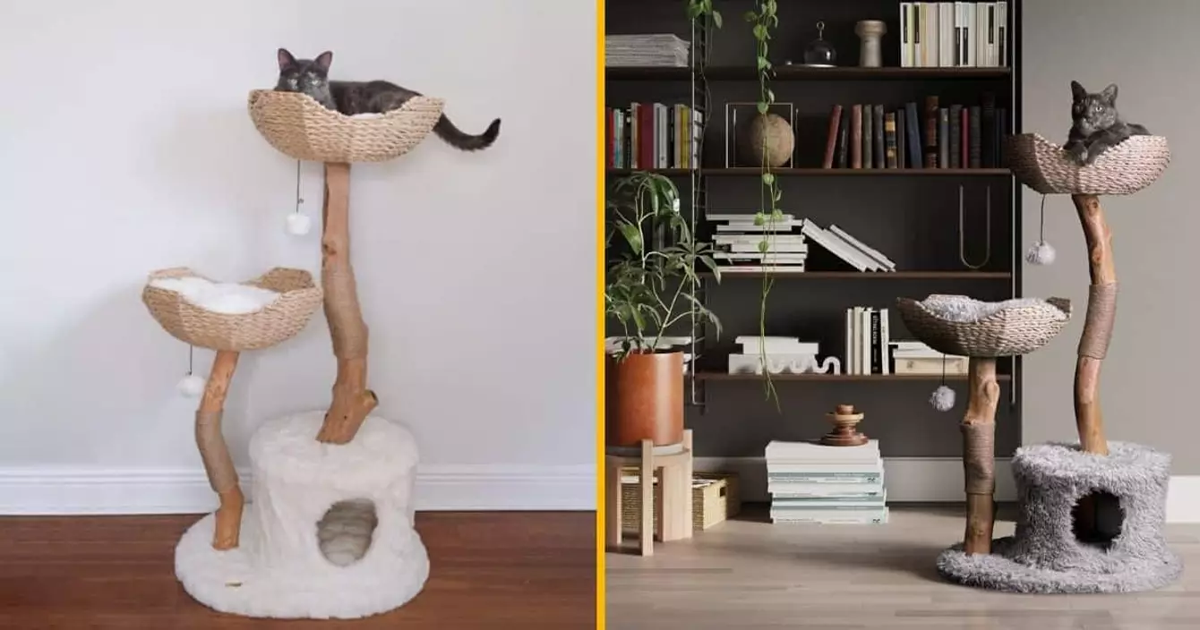 un-arbre-a-chat-plateformes-fourrure