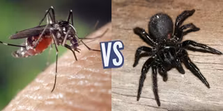 battle-361026-1425419843