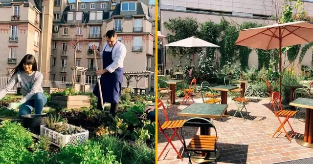 terrasse-restaurant-laia