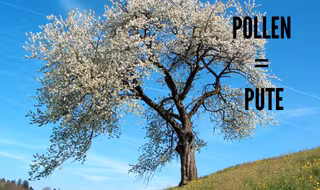 une-pollen