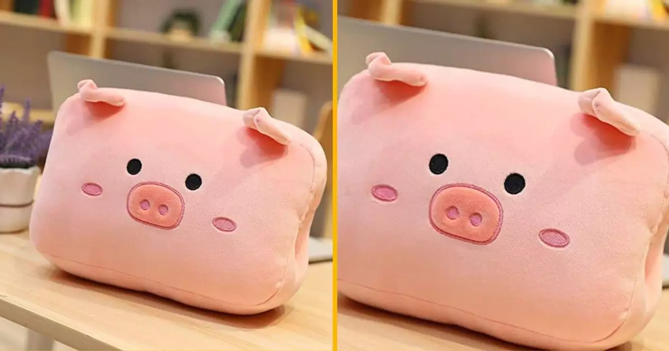 rechauffe-main-cochon