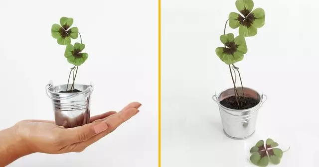 kit-trefle-quatre-feuilles