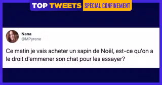 UNE_TOP_TWEETS_31