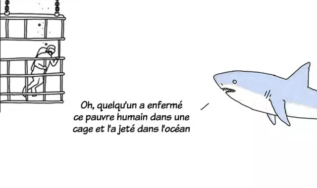 une_animaux_parlent