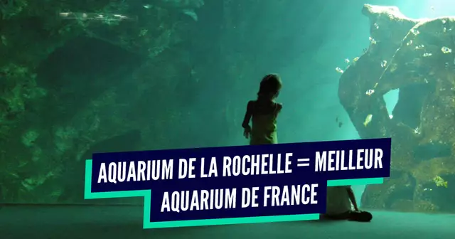 une_aquariums_france