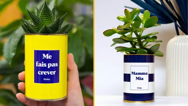 cactus-personnaliser