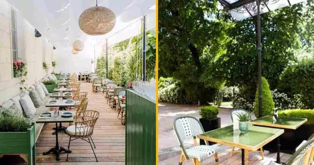 les-belles-plantes-brasserie-paris