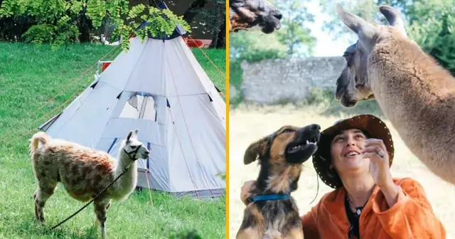 une-balade-a-cheval-pres-de-lyon