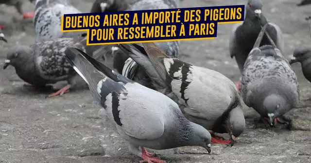 UNE_villes_iimitations