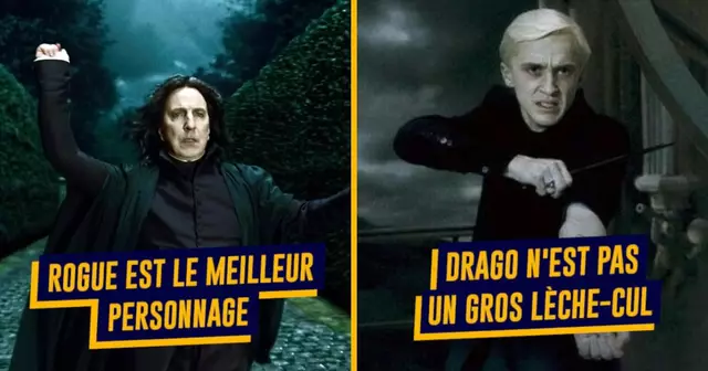 UNE-TOP-HP-SERPENTARD