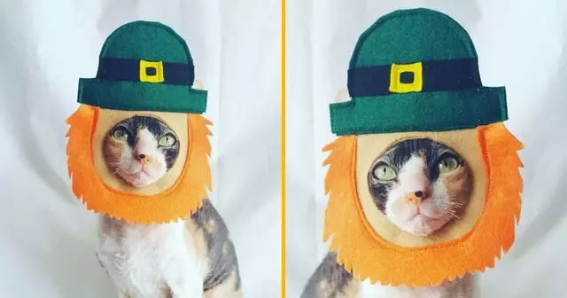 chapeau-chat-saint-patrick