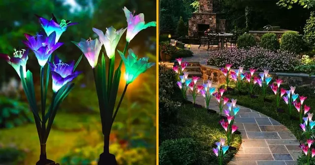 fleurs-lumineuses-solaire-jardin-feerique