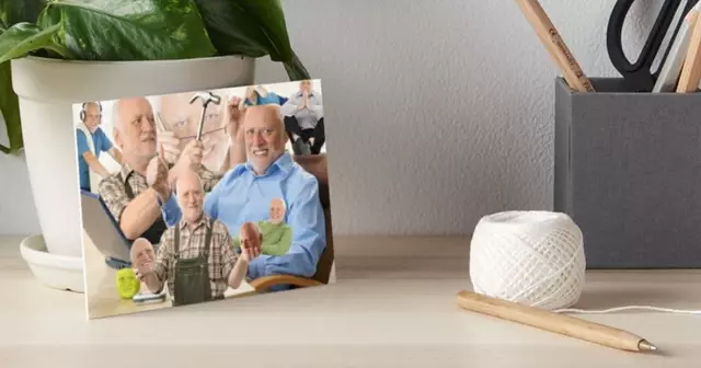 impression-harold-meme