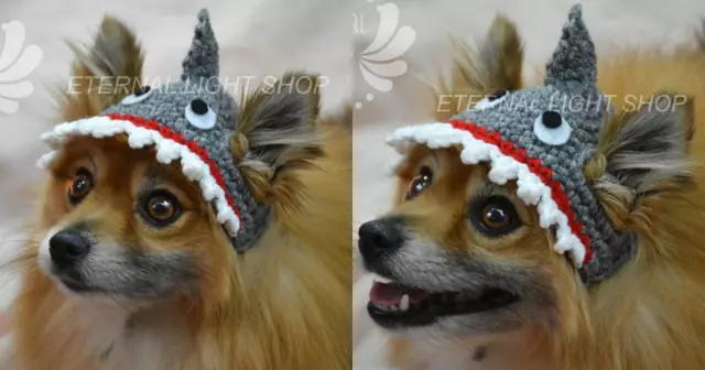 chapeau-chein-requin