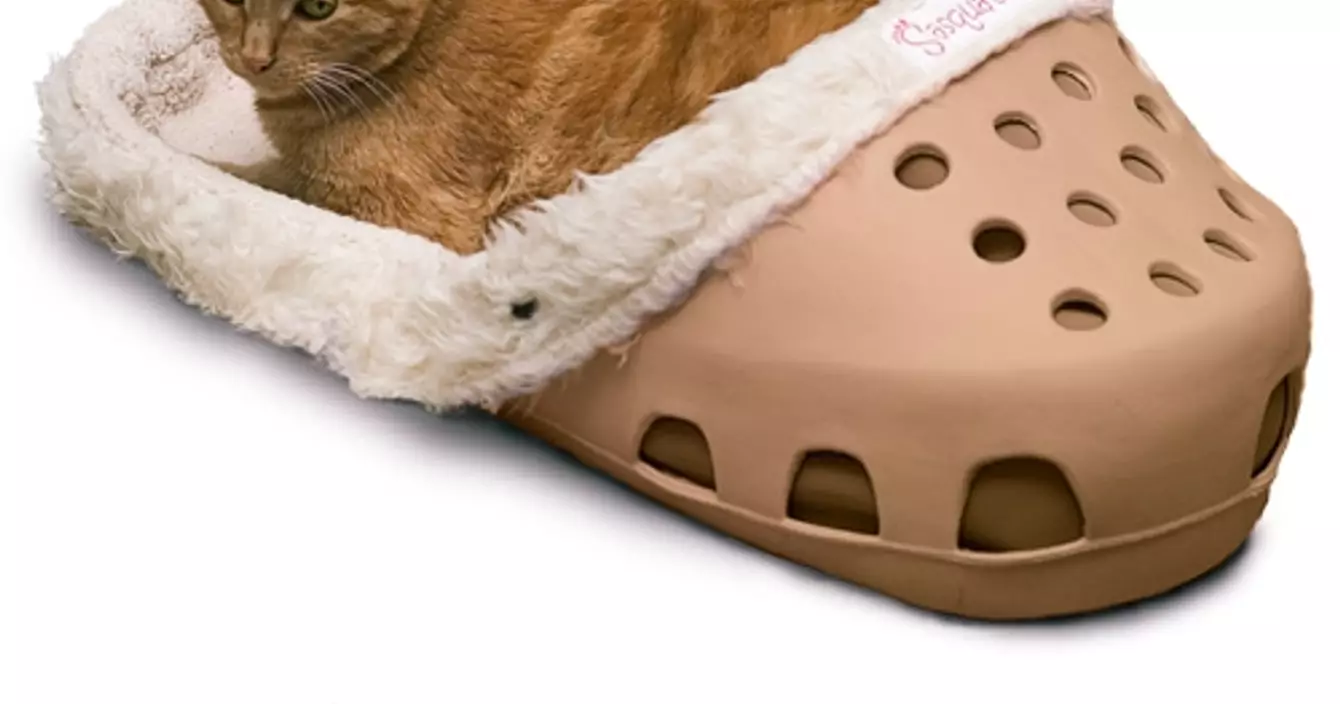 crocs-chat
